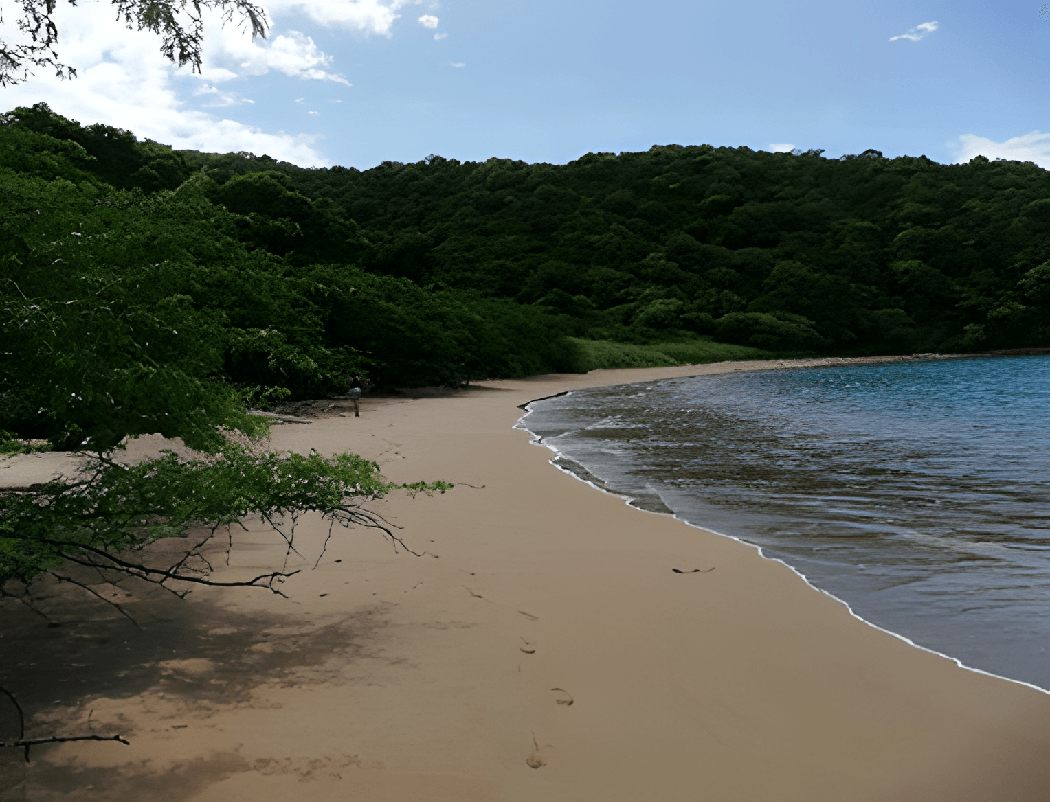 Costa de El Jobo