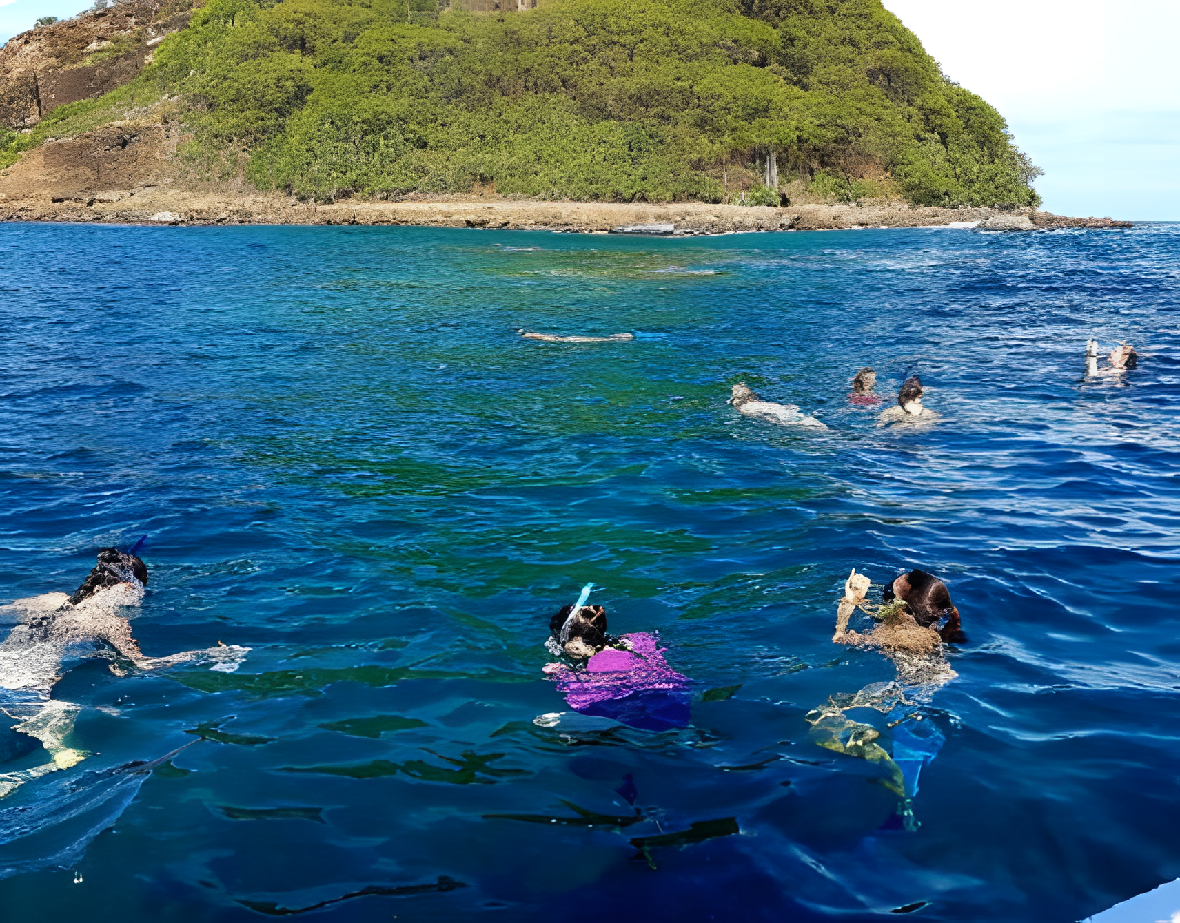 Snorkel en aguas claras de La Cruz