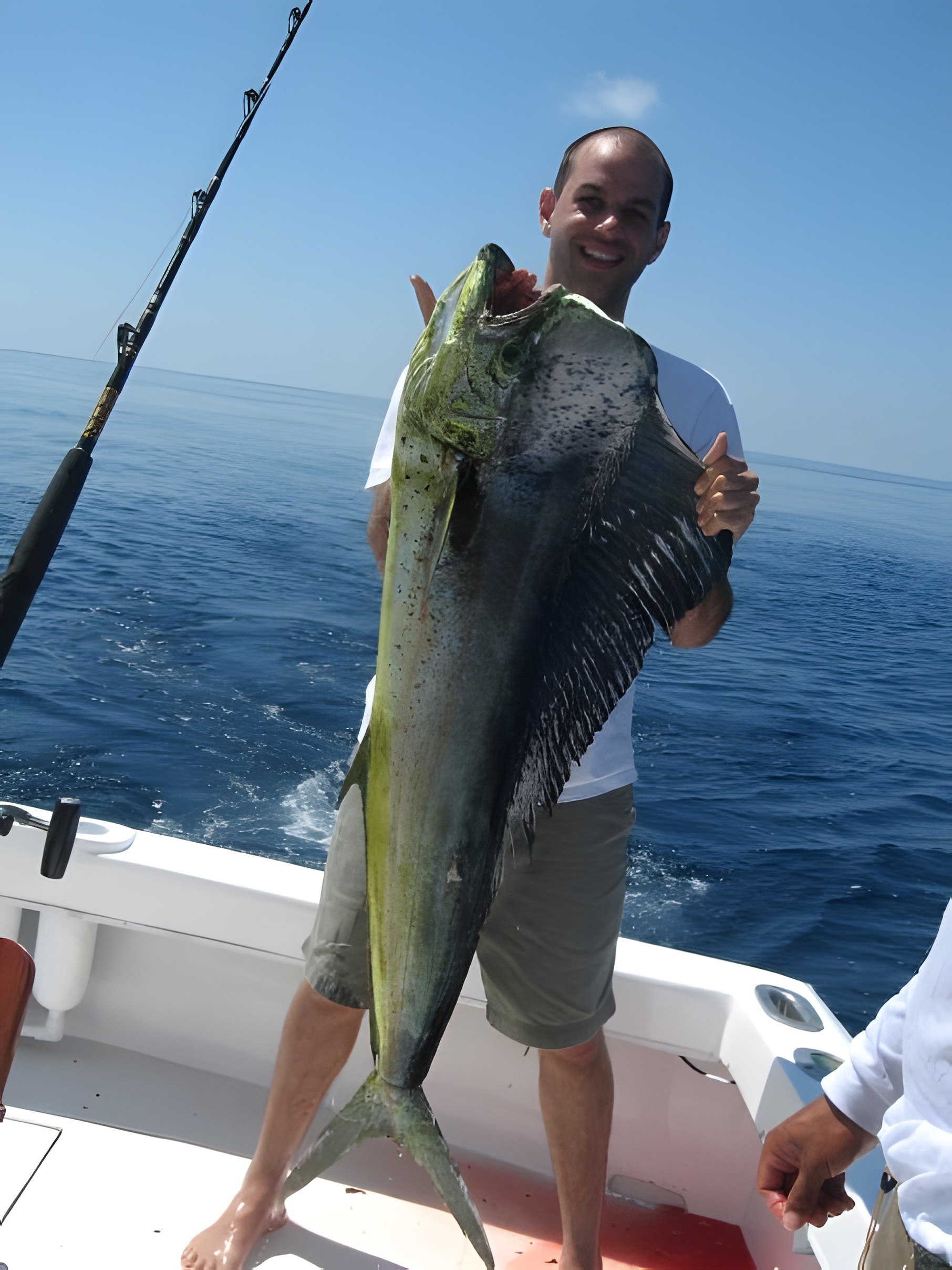 Dorado (Coryphaena hippurus), especie del tour de pesca