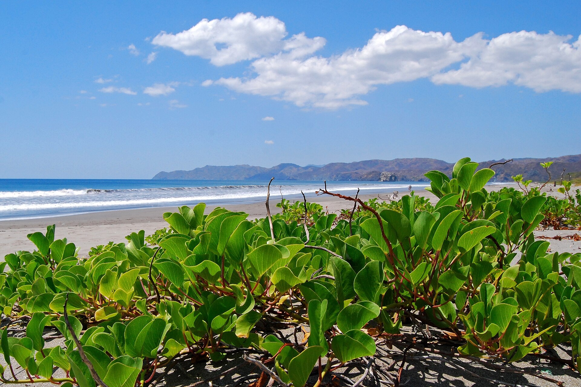 Playa Naranjo con Roca Bruja al fondo